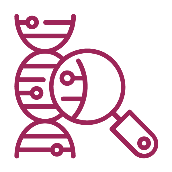 Procesamiento de la muestra