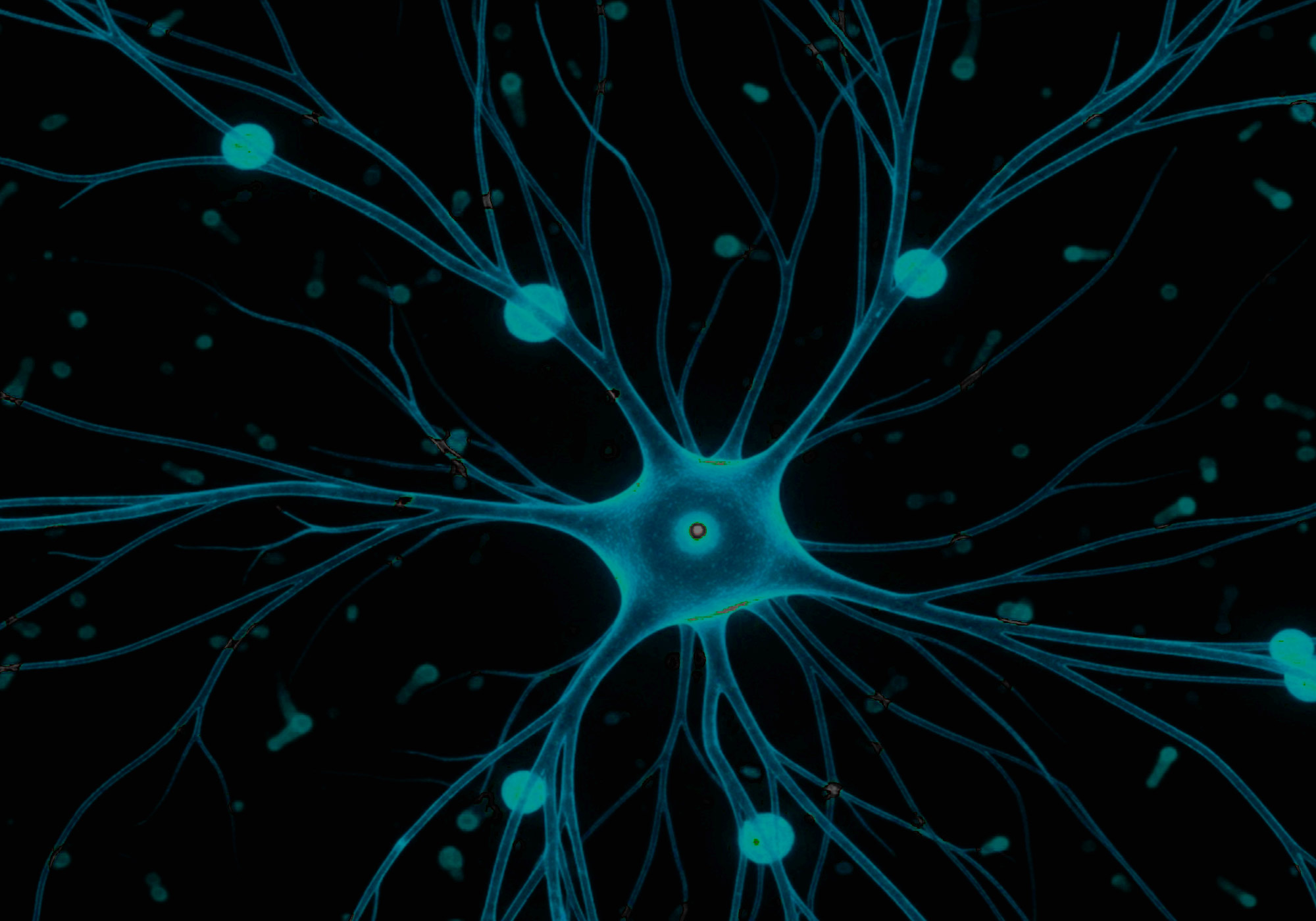 Neurofilamentos en sangre