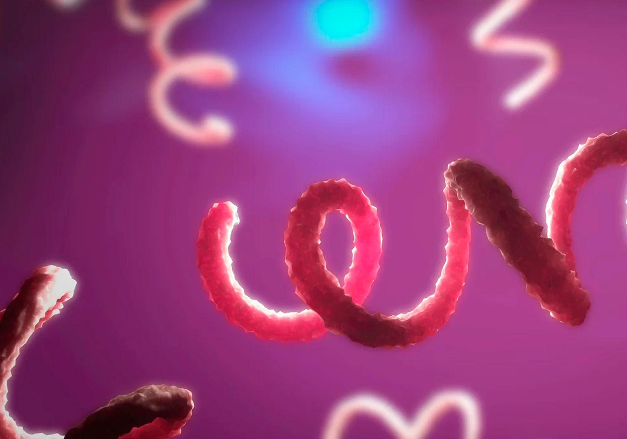 Infección de transmisión sexual (ITS)