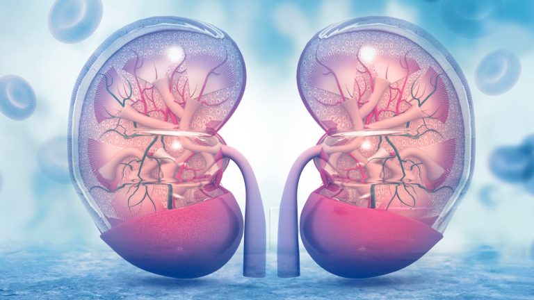 Valoración de la función renal